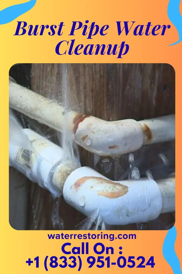 Burst Pipe Water Cleanup in Haugen, WI