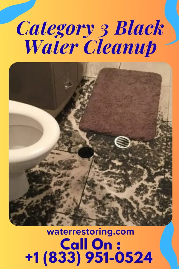 Category 3 Black Water Cleanup in Haugen, WI