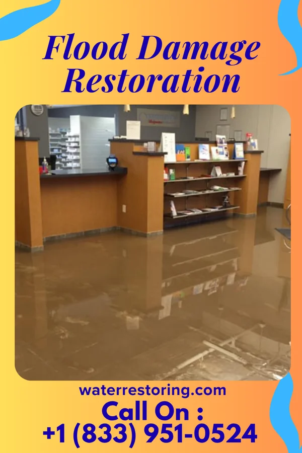 Flood Damage Restoration in Haugen, WI