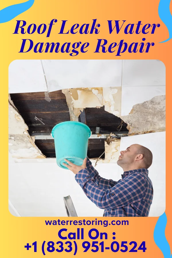 Roof Leak Water Damage Repair in Haugen, WI
