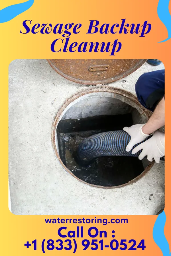 Sewage Backup Cleanup in Haugen, WI